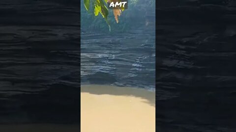 Deewane hum nahi WhatsApp status amt Safar status