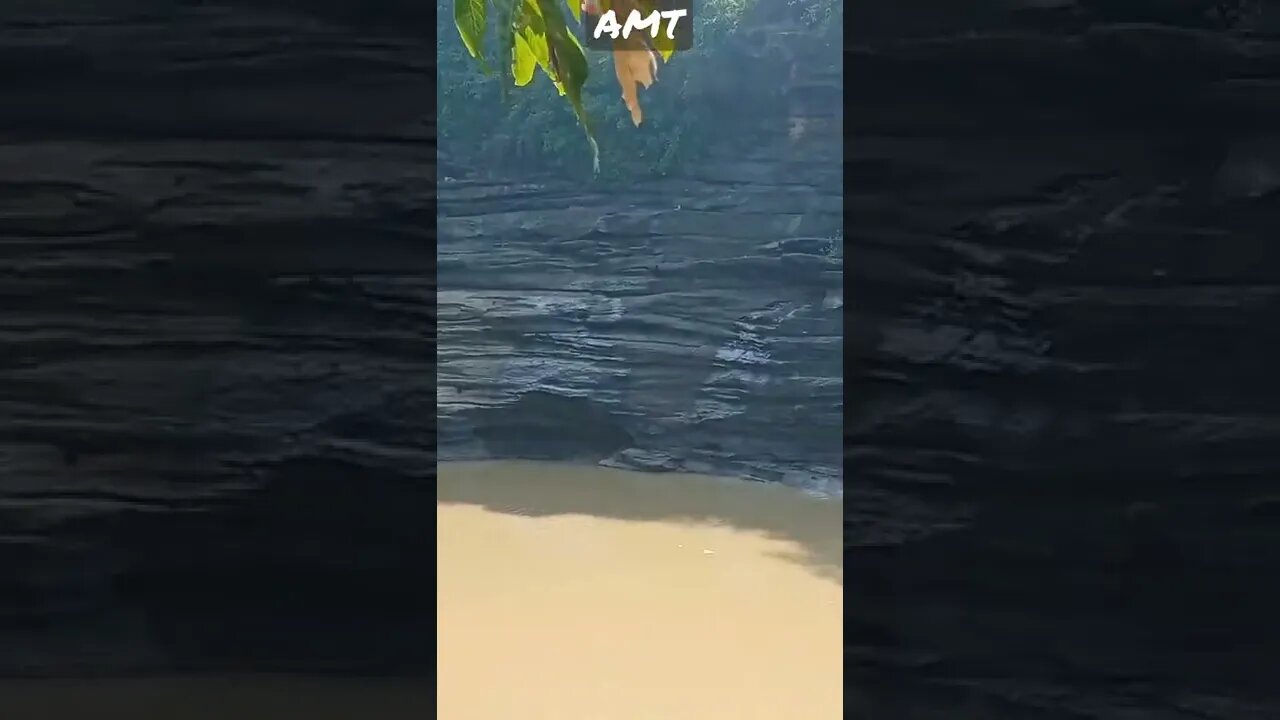 Deewane hum nahi WhatsApp status amt Safar status