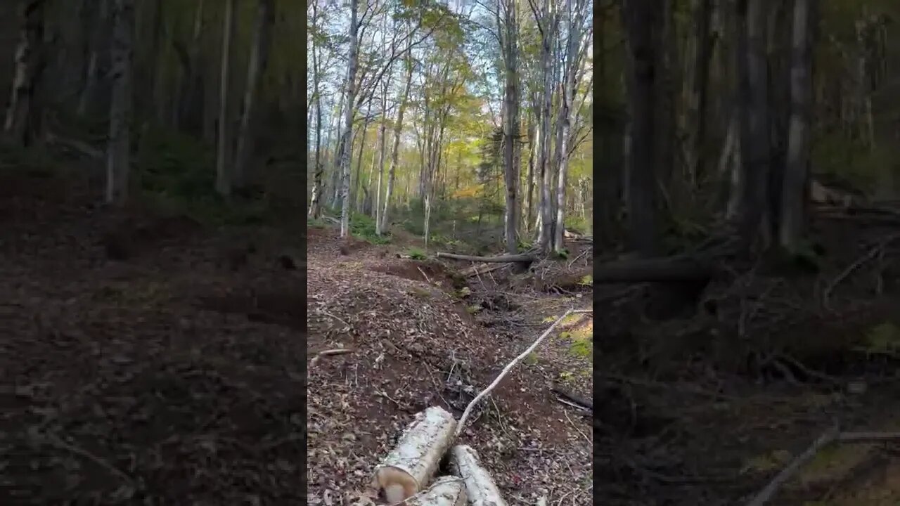 Autumn trails in Canada