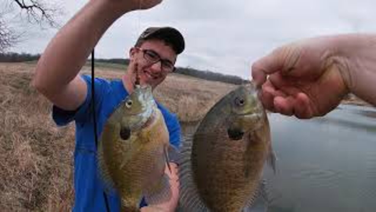 Catching MONSTER Spring Bluegills!