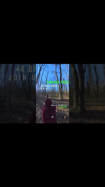 COMANA Forest winter ride, Giurgiu | #shorts #short | 🇷🇴