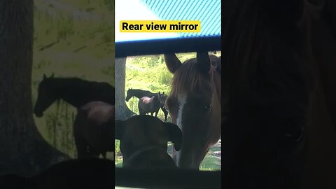 Interesting view from rear view mirror