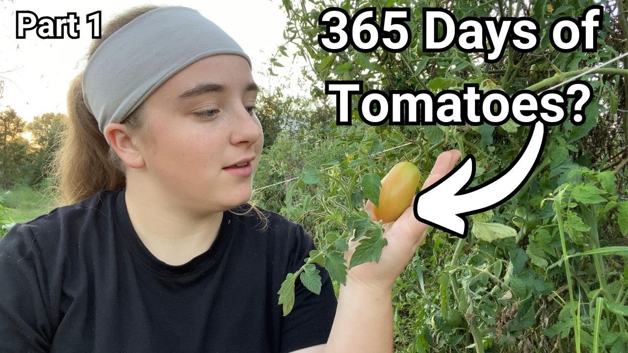 Can We REALLY Grow Tomatoes 365 Days a Year ANYWHERE?! (Part 1 - Germination)