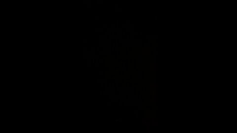 Donald J Trump campaign