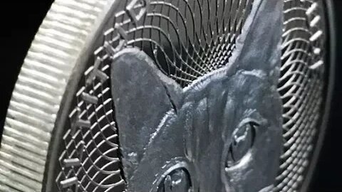 Furtitude Of Gratitude Giveaway RESULTS!