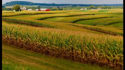 Claude Bernardin’s poem “Beyond the Fields”