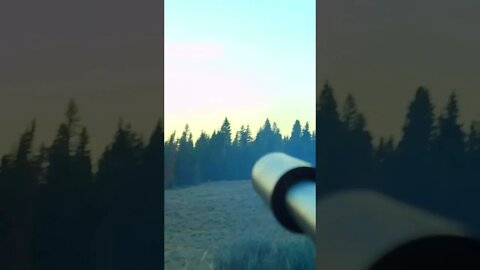 365 Yard Bull Elk Shot! Can you see it?