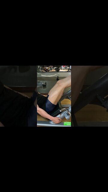 gain LEG SIZE : do all 3 quad variations hack squat barbell squat leg press #shorts