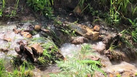 Spring flowing in flood. Day 3