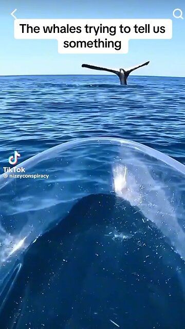 Something is not right