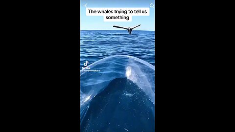 Something is not right