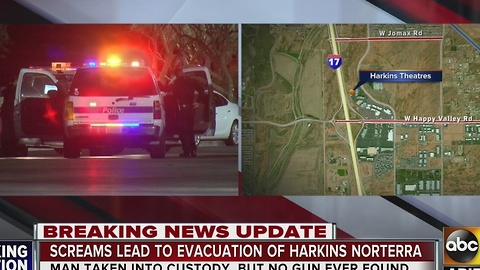 Man arrested after saying armed person was at Harkins Norterra 14
