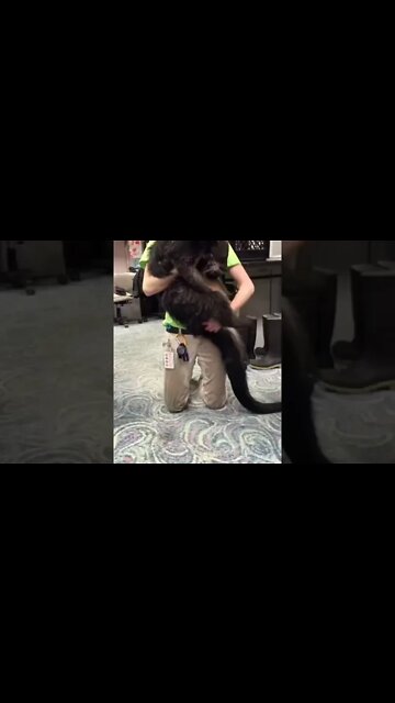 Being attacked by a Muppet #muppets