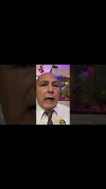 20 de março 2022 movimento mundial em defesa da Liberdade 💚💛💙 em Porto Alegre no Parcão 15 horas!