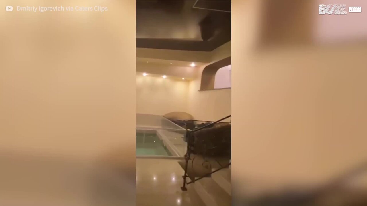 Mergulho em piscina acaba com acidente chocante