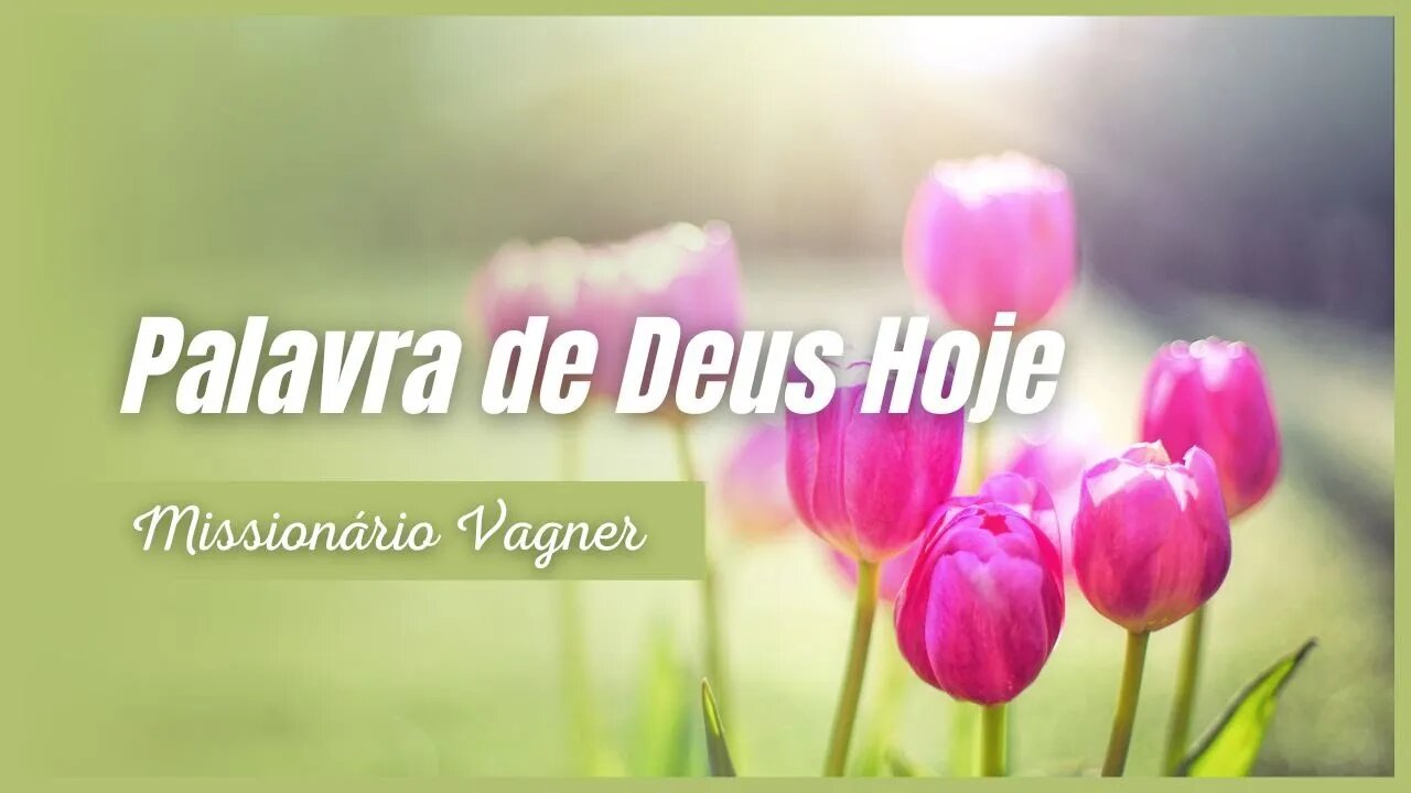 Reavivados Pela Palavra de Deus - Palavra do Dia Hoje