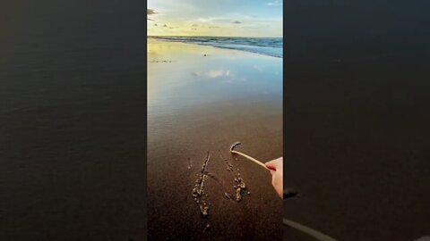 At the beach #youtubeshorts #beach #shorts