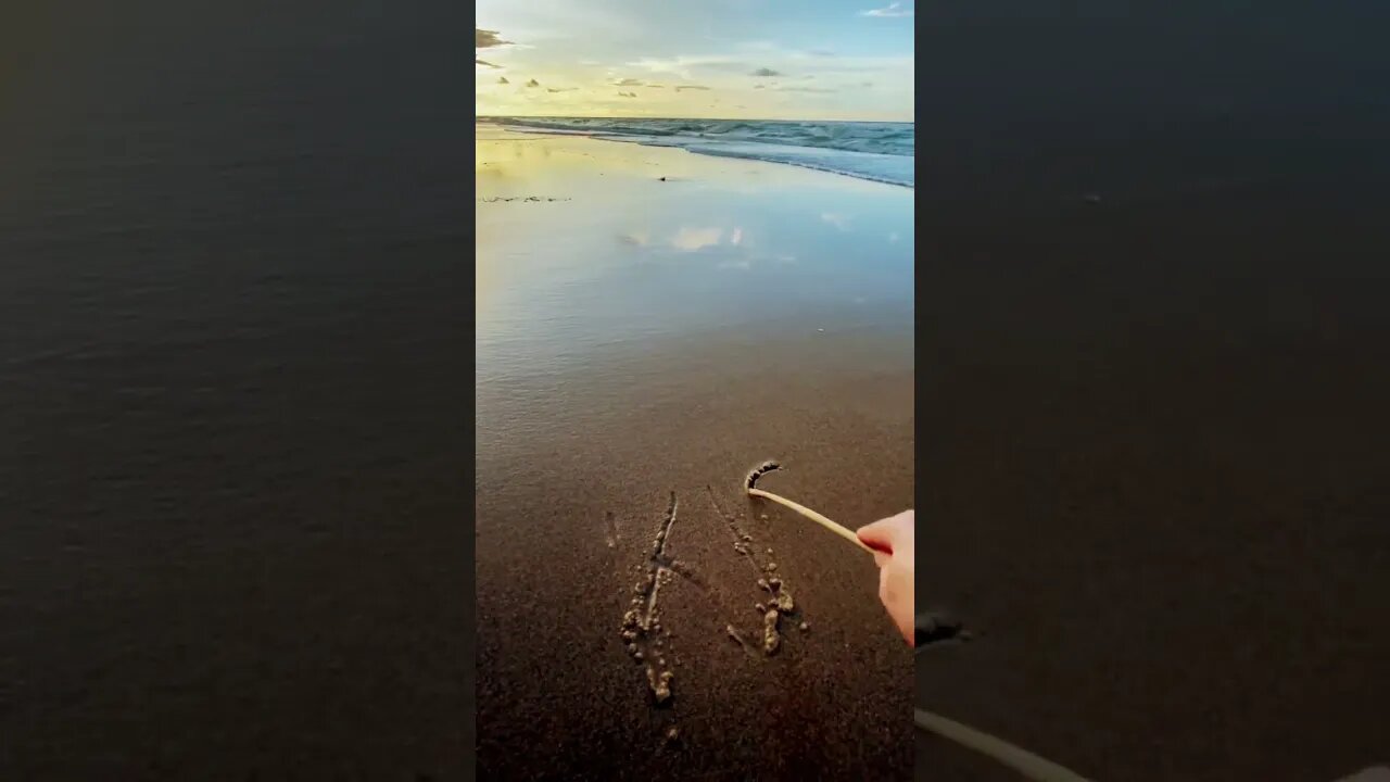 At the beach #youtubeshorts #beach #shorts