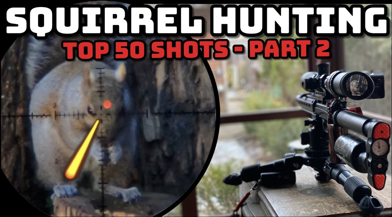 Airgun Hunting - Top 50 Shots Part 2