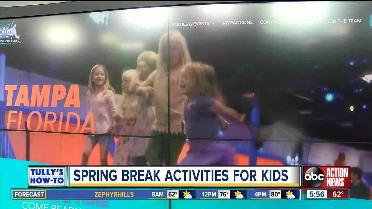 How to keep the kids busy during Spring Break in Tampa