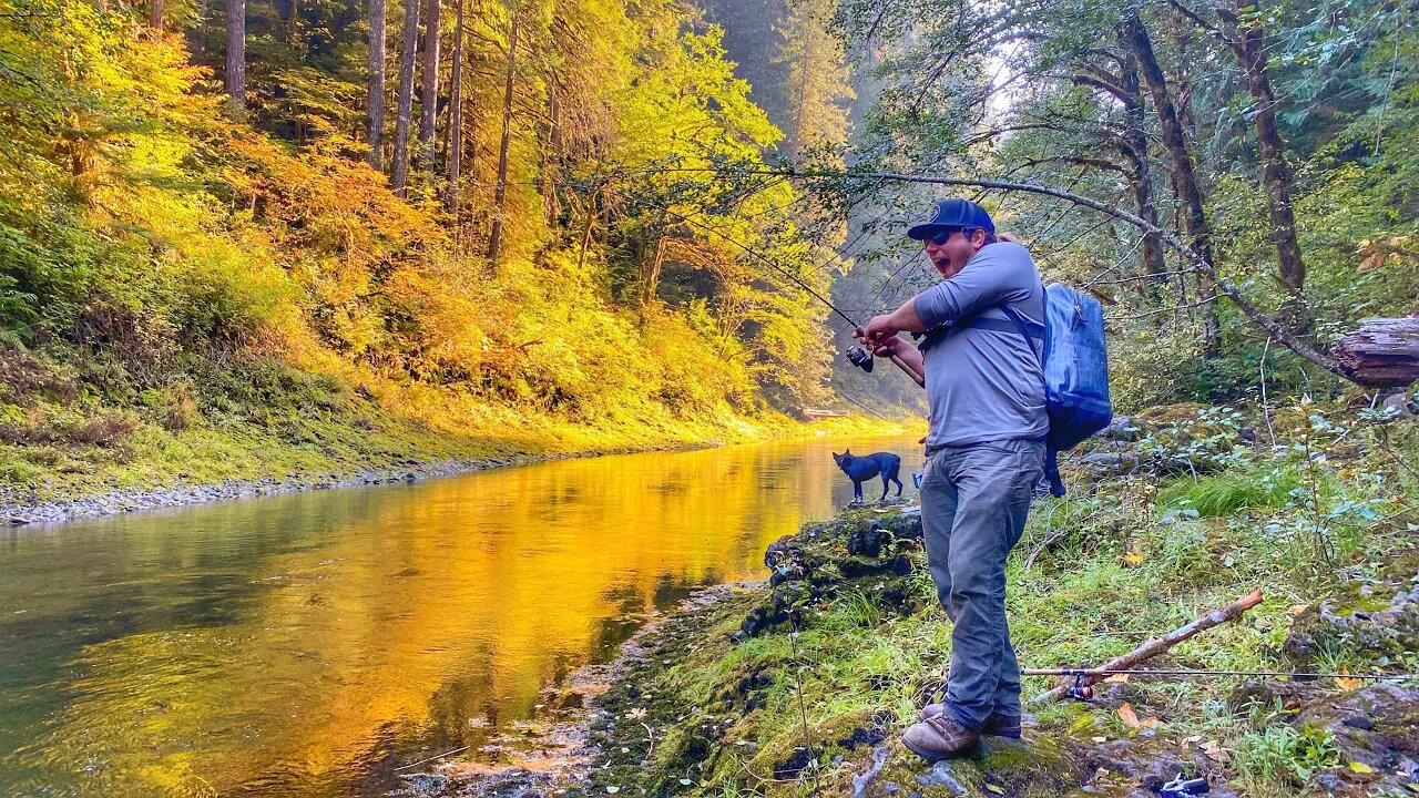 Sight Fishing TROUT & We Filmed Some CRAZY Bites! (Fall TROUT FISHING Adventure)