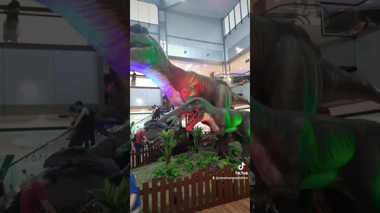 Dinossauros na Área . Que Medo 🤣