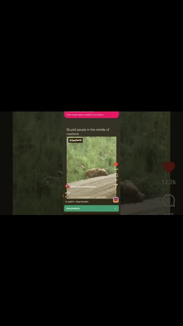 Fake bear 🐻 prank gone wrong #prank #prankster #pranks #funny #bears #nature #wildlife #encounter