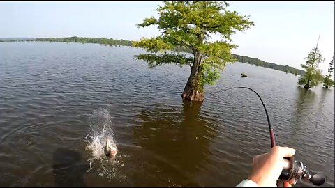 Big Summer Bass Lake Conway Arkansas