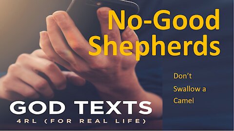 No-Good Shepherds