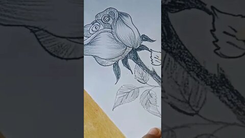 rose 🌹💐