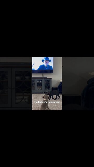 Are they really watching TV?