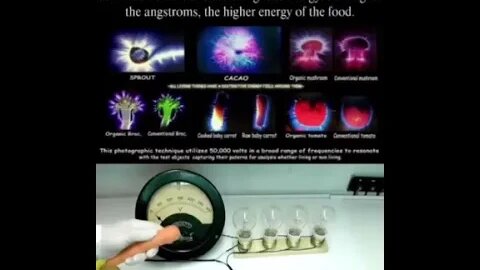 Eat high vibrational food, you become high vibrational.