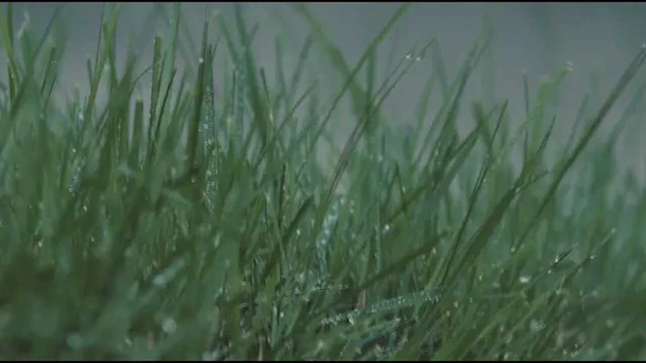 Relaxing Rain