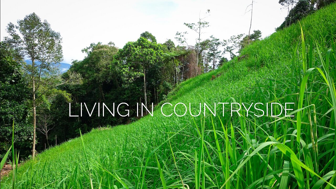 Living In Countryside | Four Months Old Paddy