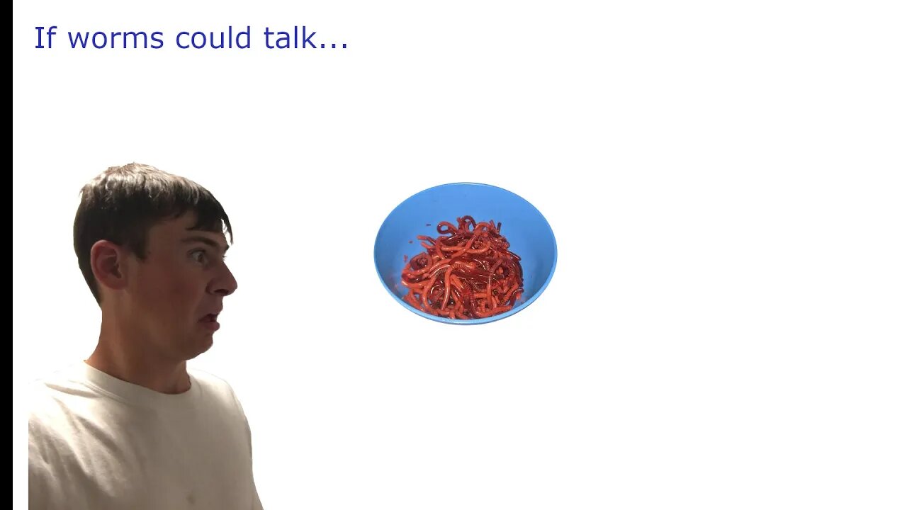 EATING FRIED WORMS!!!