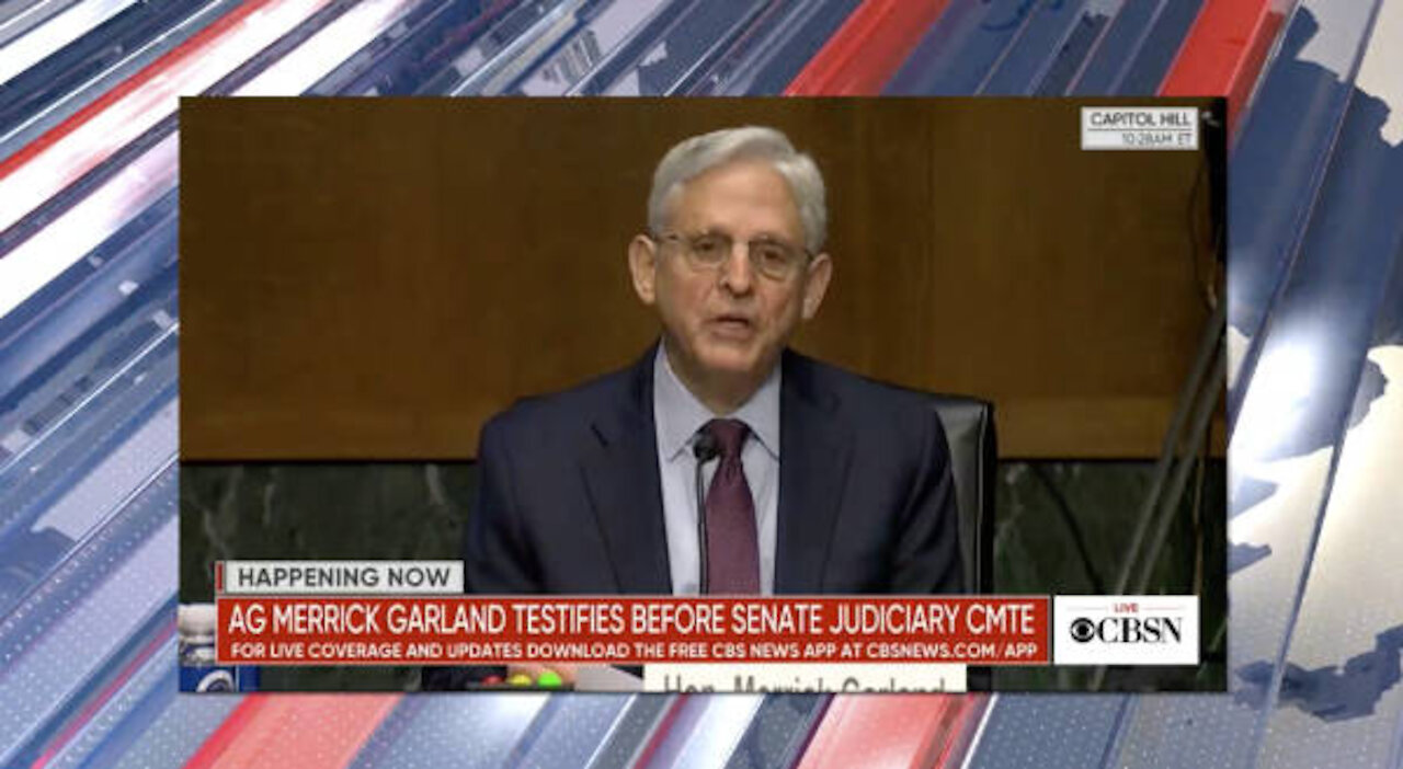 Mammoth Nation Weekly Update - November 21st