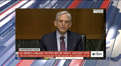 Mammoth Nation Weekly Update - November 21st