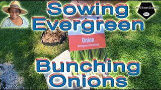 #sowingseeds #onion #evergreen Bunching #garden - #catshobbycorner