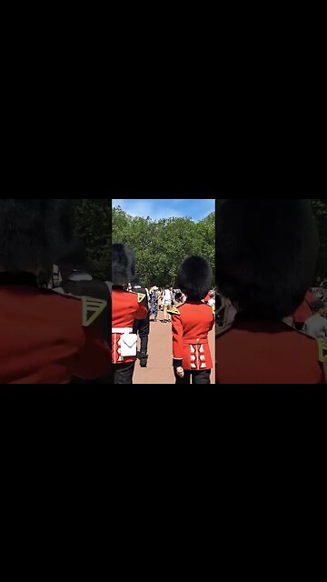 King's guards march to staying alive #horseguardsparade