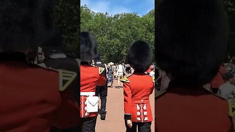 King's guards march to staying alive #horseguardsparade