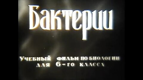 Учебный фильм по биологии для 6-го класса «БАКТЕРИИ»