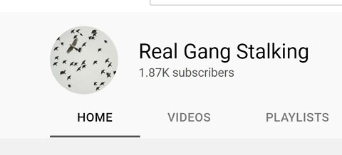 "Real" Gang Stalking