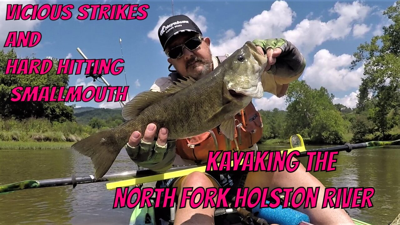 Vicious Strikes and Hard Hitting Smallmouth Kayaking the North Fork Holston River