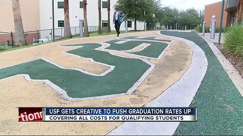 Pilot program aims to improve USF grad rates