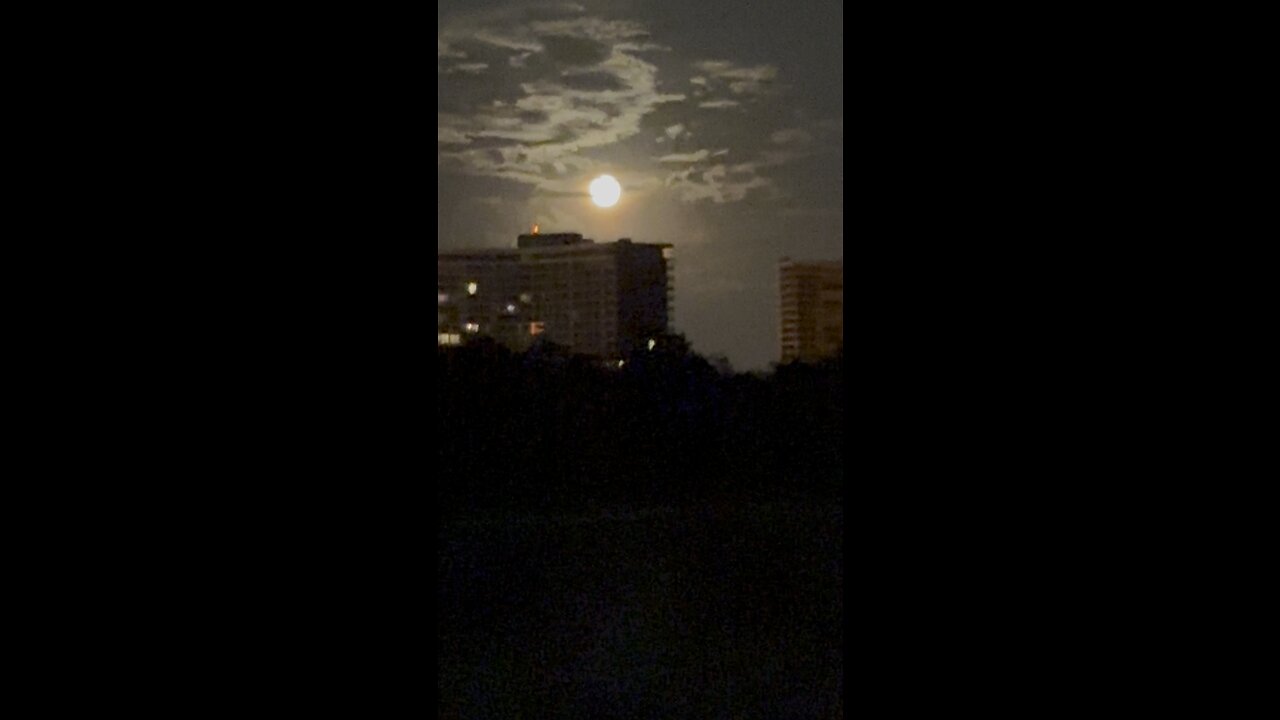 Super Blue Moon #FYP #FullMoon #SuperMoon #Bluemoon #MarcoIsland #mywalksinparadise #4K