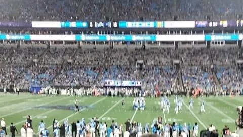 Panthers n Lions Charlotte, NC