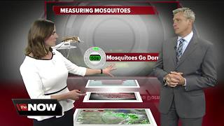 Geeking Out: Measuring mosquitoes