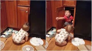 Des bébés se disputent un placard!