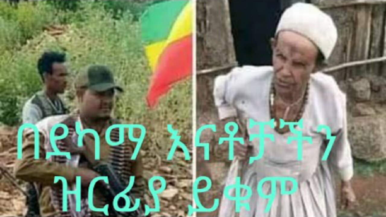 አማራን የሚዘርፉ የጎፈንድሚ ሰርጓጅ ዳያስፖራዎች