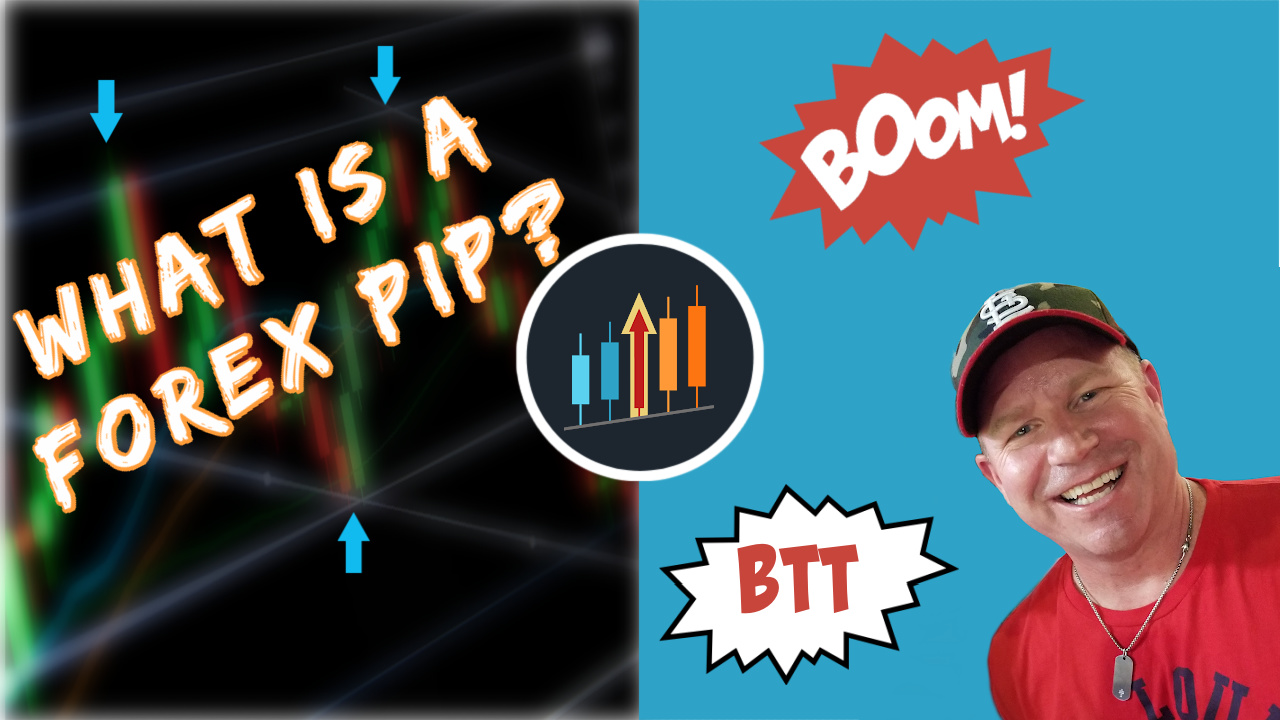 What is a Pip in Forex Trading?